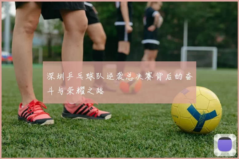 深圳乒乓球队逆袭总决赛背后的奋斗与荣耀之路