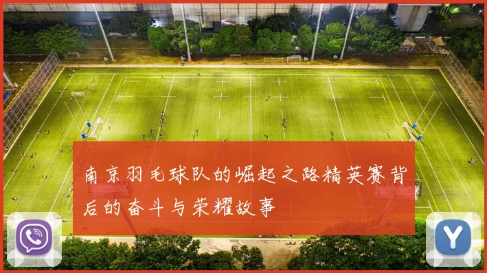 南京羽毛球队的崛起之路精英赛背后的奋斗与荣耀故事