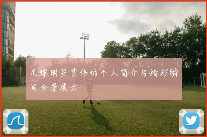 足球明星贾伟的个人简介与精彩瞬间全景展示
