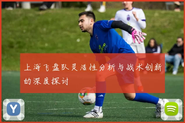 上海飞盘队灵活性分析与战术创新的深度探讨