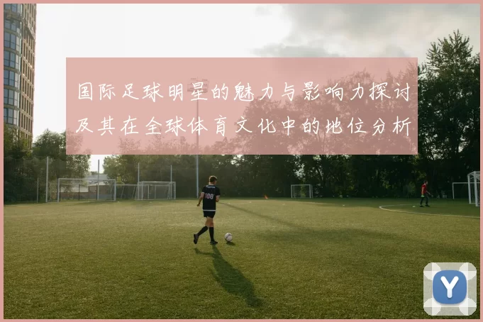 国际足球明星的魅力与影响力探讨及其在全球体育文化中的地位分析