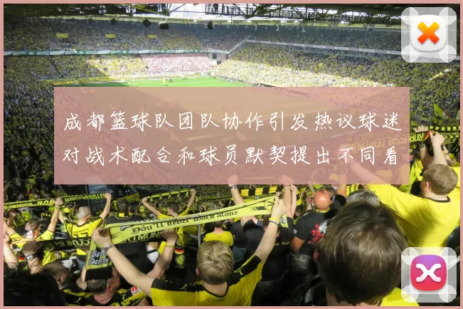 成都篮球队团队协作引发热议球迷对战术配合和球员默契提出不同看法