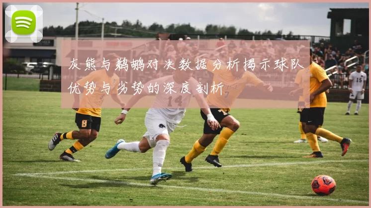 灰熊与鹈鹕对决数据分析揭示球队优势与劣势的深度剖析